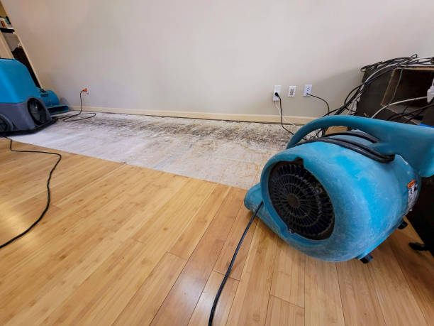 Professional Basement Flood Cleanup technician working in Bloomfield, NY